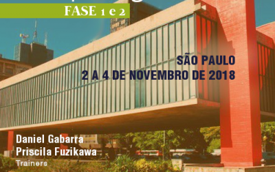Brainspotting Fase 2 | São Paulo – SP